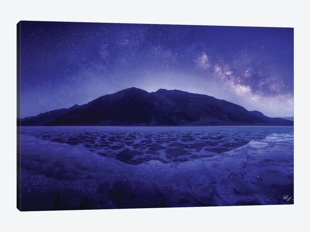 Another World by Peter Coskun 1-piece Canvas Art