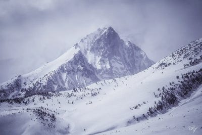 Aspire by Peter Coskun canvas print