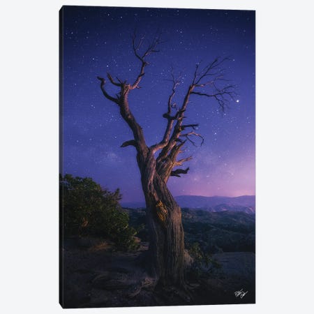 Reaching Further Canvas Print #PCS90} by Peter Coskun Art Print