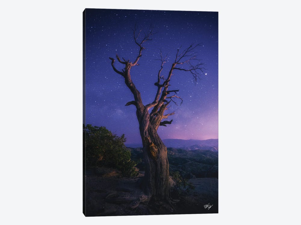 Reaching Further by Peter Coskun 1-piece Canvas Artwork