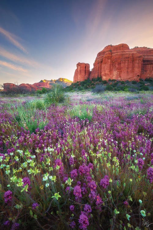 Red Rock Spring