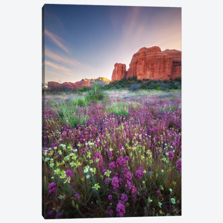 Red Rock Spring Canvas Print #PCS91} by Peter Coskun Art Print