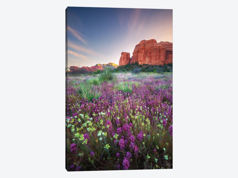 Red Rock Spring by Peter Coskun 1-piece Canvas Print