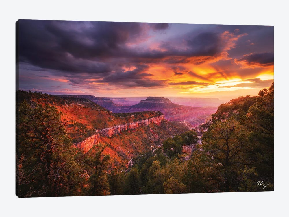Redemption by Peter Coskun 1-piece Canvas Wall Art