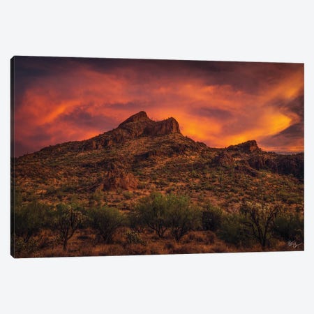 Roadside Attraction Canvas Print #PCS94} by Peter Coskun Canvas Artwork
