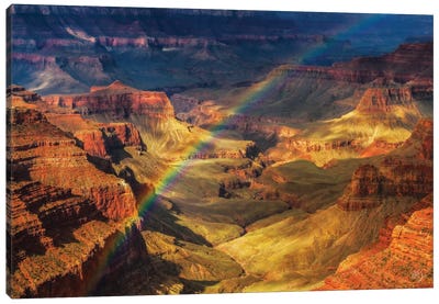 Royal Rainbow Canvas Art Print - Peter Coskun