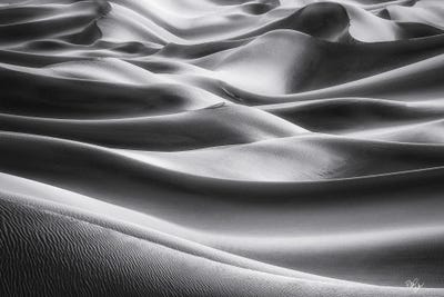 Silver Linings by Peter Coskun art print