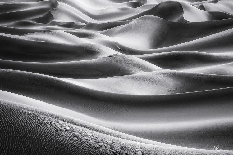 Silver Linings by Peter Coskun wall art