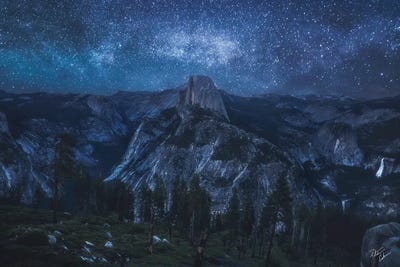 Sleepless by Peter Coskun framed canvas print
