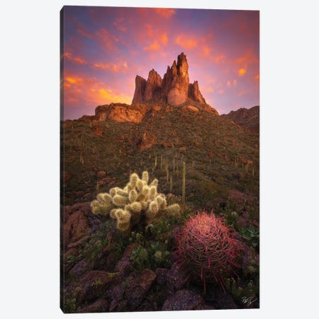Spike And Barrel II Canvas Print #PCS99} by Peter Coskun Canvas Art Print