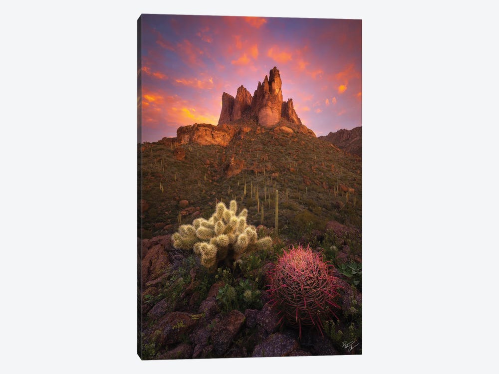 Spike And Barrel II by Peter Coskun 1-piece Canvas Art Print