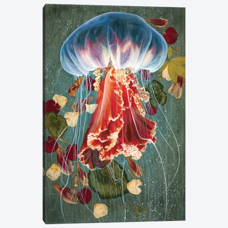 Jelly Fish II Canvas Print #PDK1} by Jessica Pidcock Canvas Art Print