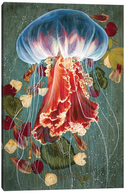 Jelly Fish II Canvas Art Print - Jellyfish Art