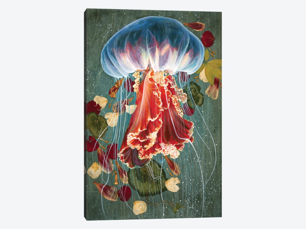 Jelly Fish II by Jessica Pidcock 1-piece Canvas Art