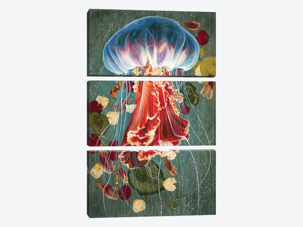 Jelly Fish II by Jessica Pidcock 3-piece Canvas Artwork