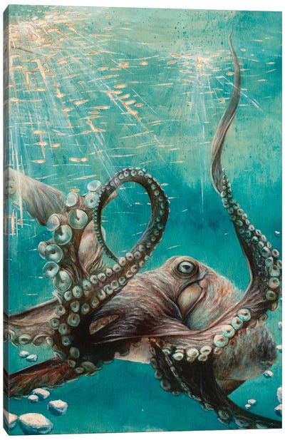 Octopus Canvas Art Print - Sea Life Art