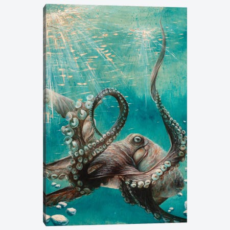Octopus Canvas Print #PDK2} by Jessica Pidcock Art Print