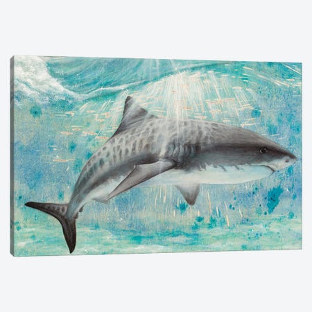 Shark Canvas Print #PDK5} by Jessica Pidcock Canvas Wall Art