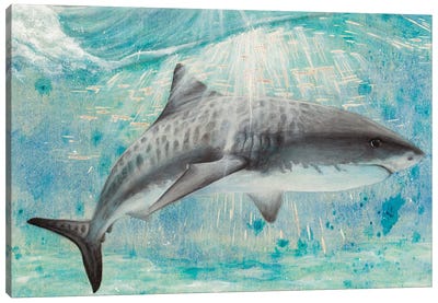 Shark Canvas Art Print - Turquoise Art