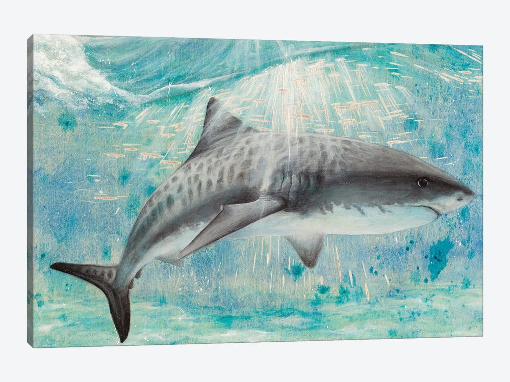 Shark by Jessica Pidcock 1-piece Canvas Art