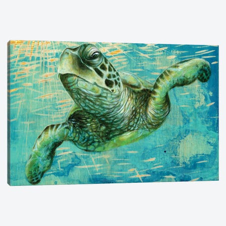 Turtle Canvas Print #PDK6} by Jessica Pidcock Canvas Artwork