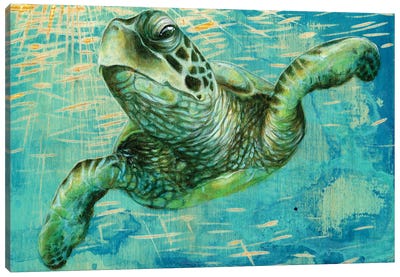 Turtle Canvas Art Print