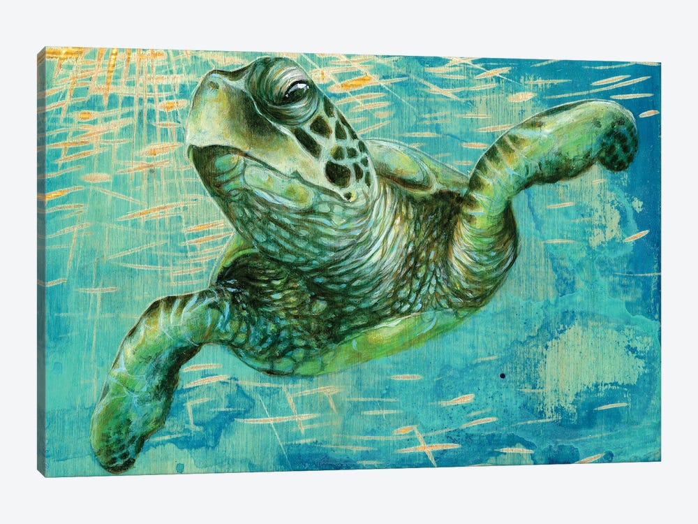 Turtle by Jessica Pidcock 1-piece Canvas Print