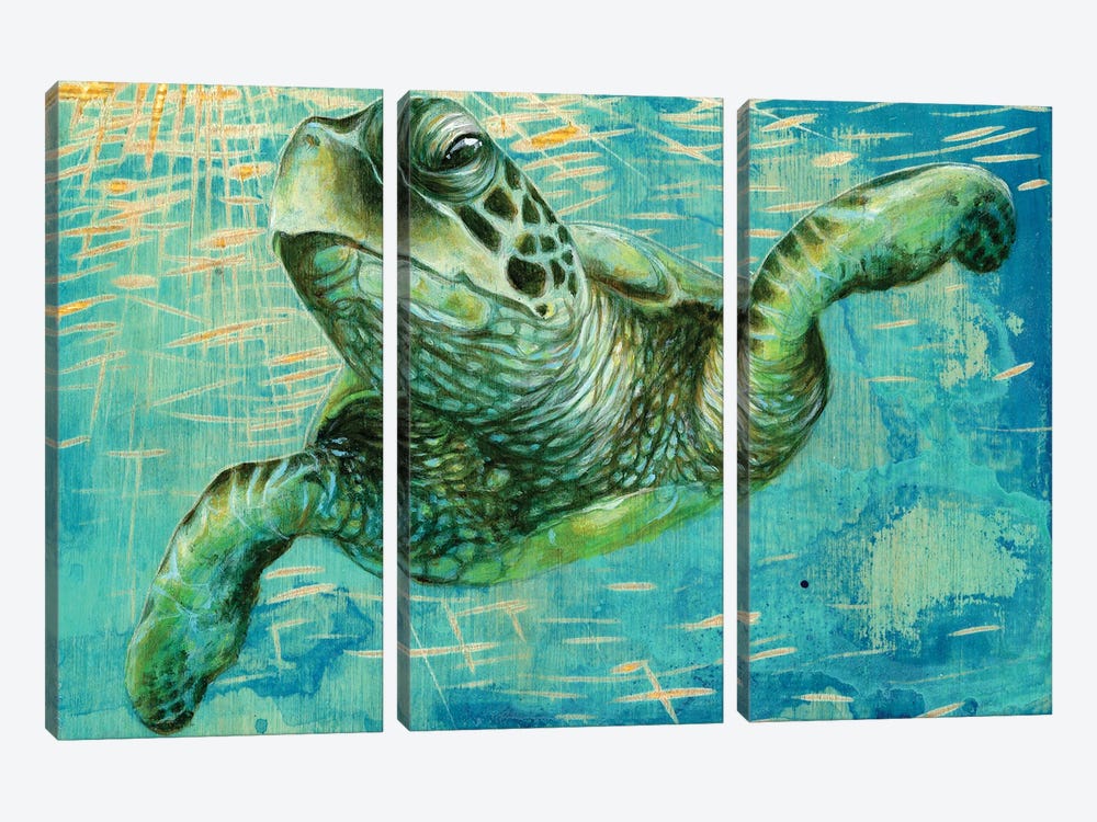 Turtle by Jessica Pidcock 3-piece Art Print