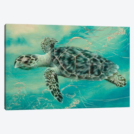 Turtle III Canvas Print #PDK7} by Jessica Pidcock Canvas Wall Art