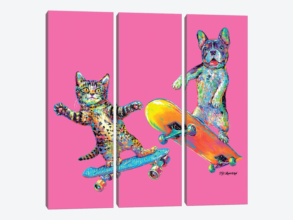 Couple Skateboards In Pink by P.D. Moreno 3-piece Canvas Art