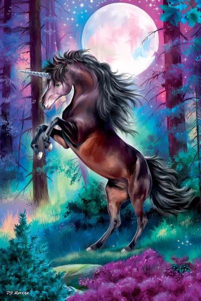 Unicorns: Black Unicorn by P.D. Moreno