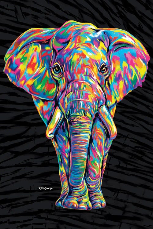 Color Elephant by P.D. Moreno wall art