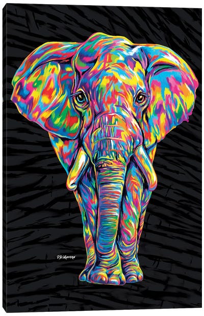 Color Elephant Canvas Art Print - P.D. Moreno