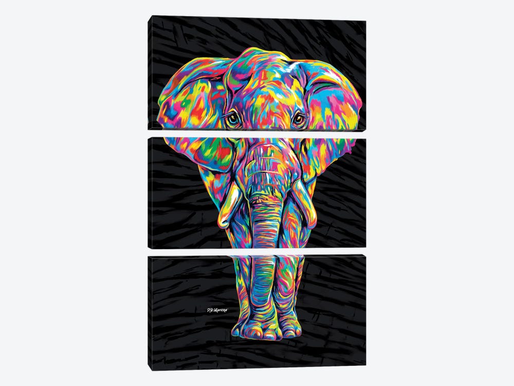Color Elephant by P.D. Moreno 3-piece Canvas Artwork