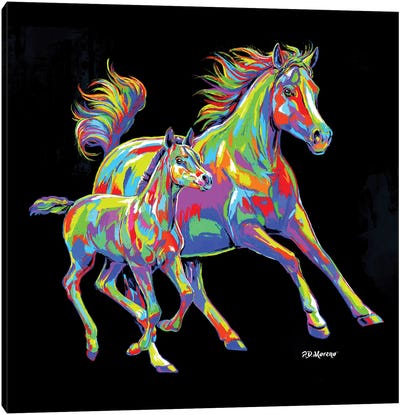 Color Horses Canvas Art Print - P.D. Moreno