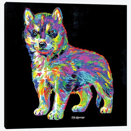 Husky Canvas Print #PDM155} by P.D. Moreno Canvas Art
