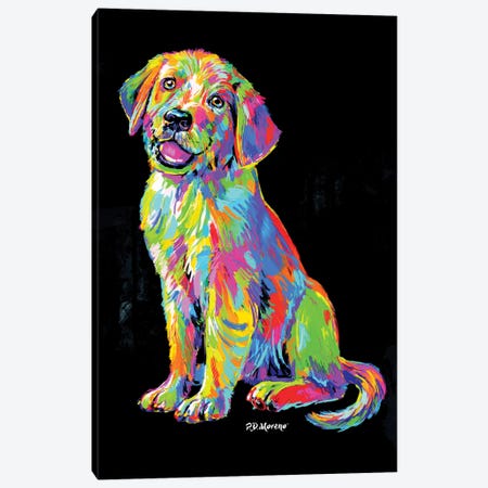 Labrador Canvas Print #PDM158} by P.D. Moreno Canvas Print