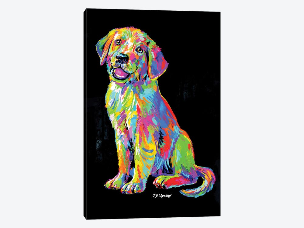 Labrador by P.D. Moreno 1-piece Canvas Artwork
