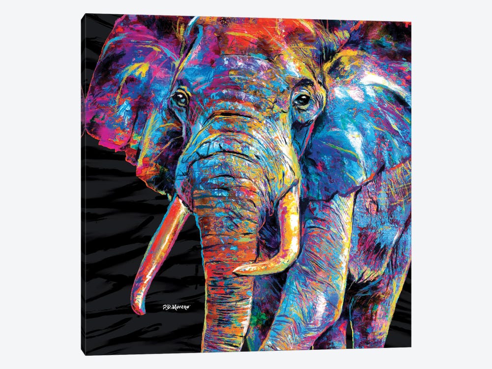 Elefante Zoom by P.D. Moreno 1-piece Canvas Wall Art