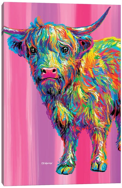 Teddy Canvas Art Print - Highland Cow Art