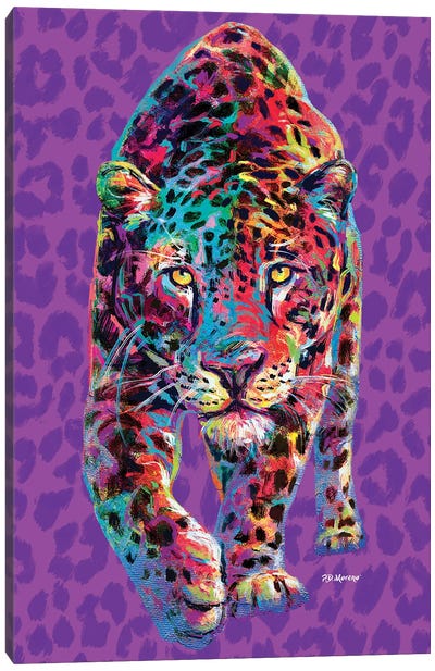 Cooper Canvas Art Print - Jaguar Art