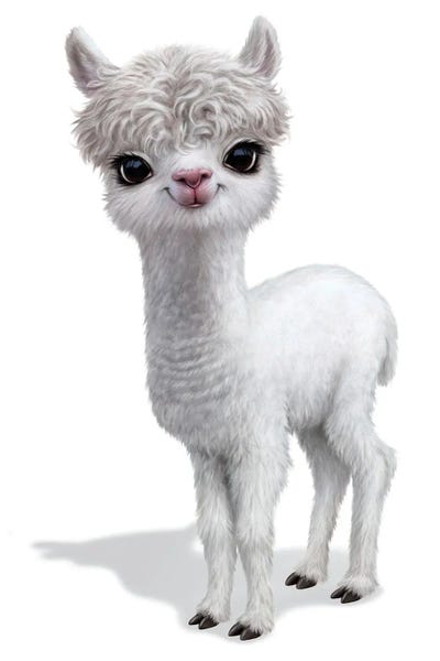 Llamas: Llama by P.D. Moreno