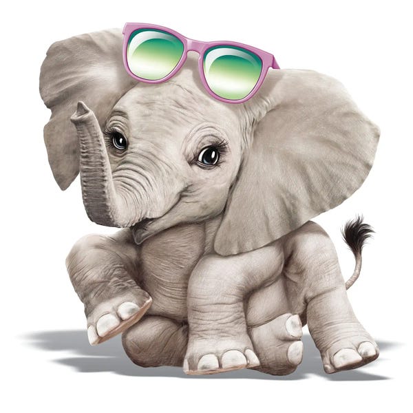 Elephant With Sunglasses