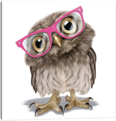 Owl With Glasses Canvas Art Print - Glasses & Eyewear Art