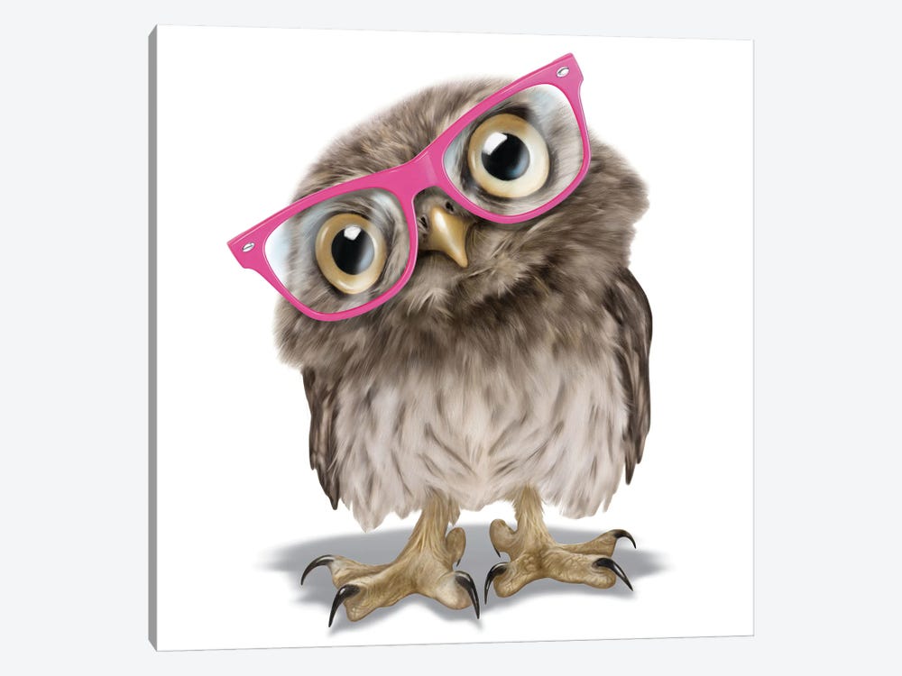 Owl With Glasses by P.D. Moreno 1-piece Canvas Wall Art