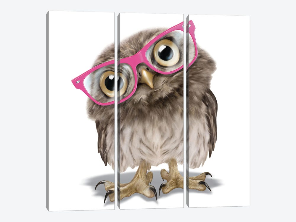 Owl With Glasses by P.D. Moreno 3-piece Canvas Wall Art
