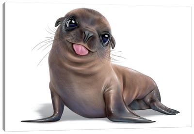 Seal Canvas Art Print - Seals