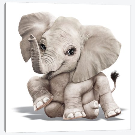 Baby Elephant Canvas Print #PDM202} by P.D. Moreno Canvas Print