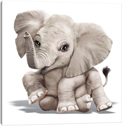 Baby Elephant Canvas Art Print - P.D. Moreno