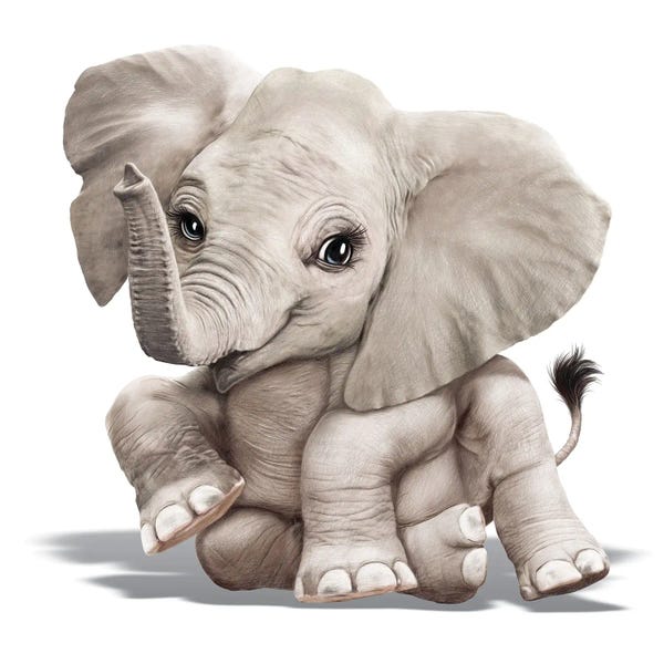 Baby Elephant